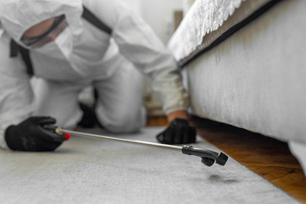 Professional Bed Bug Control technician working in Caddo County County, OK